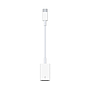 APPLE ADAPTADOR ORIGINAL TIPO C A USB